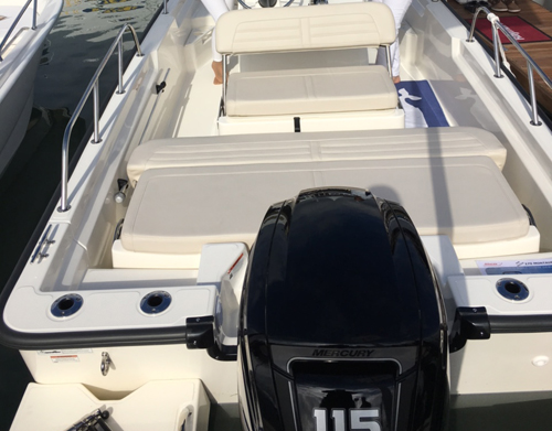 Boston Whaler | Official UK Distributors